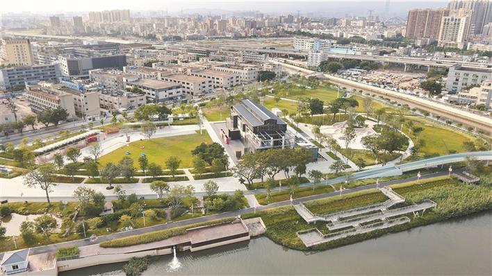 回应市民呼声 办好民生实事 沙井利用网络新媒体通...