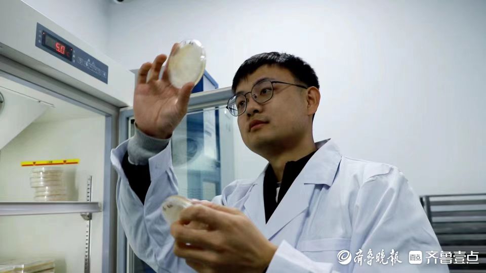 这就是山东|种业有了“中国芯”！聊城鲁西种苗谷...