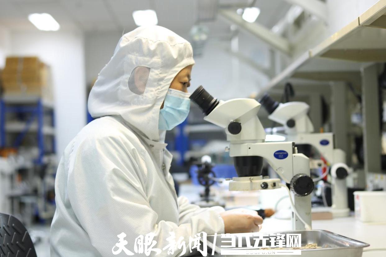科技在线 创新有我！贵州省科技厅八大举措助推全...